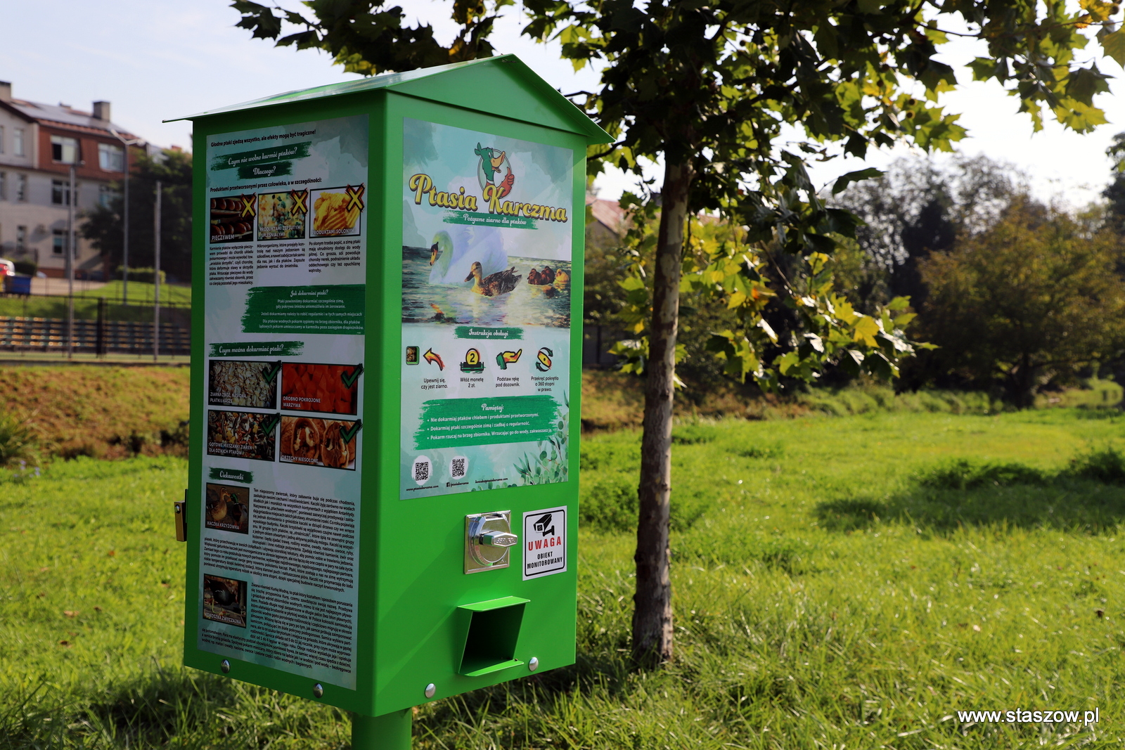 Automat z karmą dla ptaków w parku Rekracyjno – Sportowym Zalew nad Czarną 
